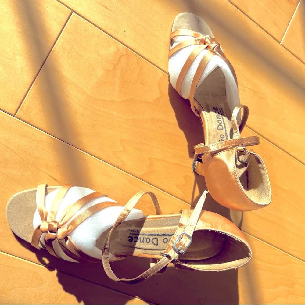 Brand new Very Fine ballroom dance shoes.